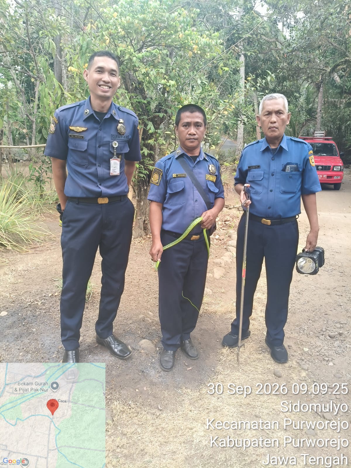 ULAR BERSEMBUNYI DI DALAM MOBIL, DAMKAR PURWOREJO LAKUKAN EVAKUASI