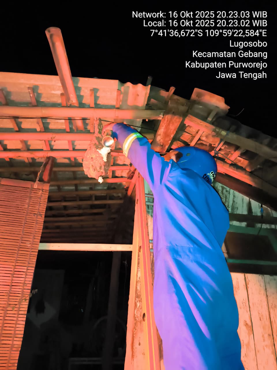 EVAKUASI SARANG TAWON DI SALAH SATU RUMAH WARGA KELURAHAN LUGOSOBO