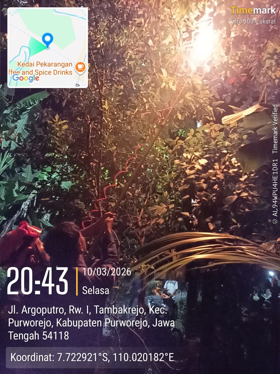 SARANG TAWON BERBAHAYA DI HALAMAN RUMAH WARGA CANGKREPLOR BERHASIL DIEVAKUASI DAMKAR