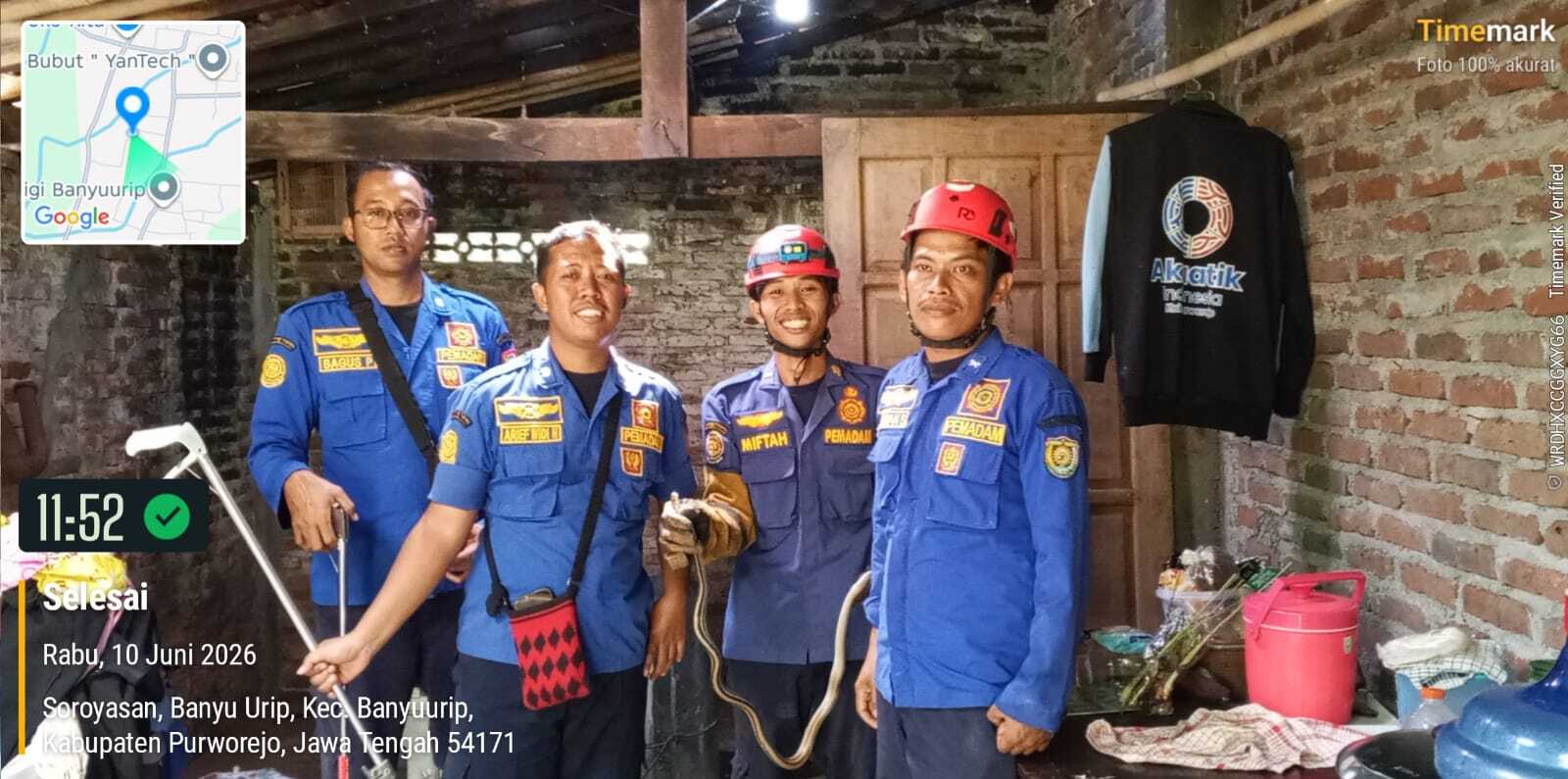 EVAKUASI ULAR DI BANYUURIP BERJALAN AMAN DAN TERKENDALI