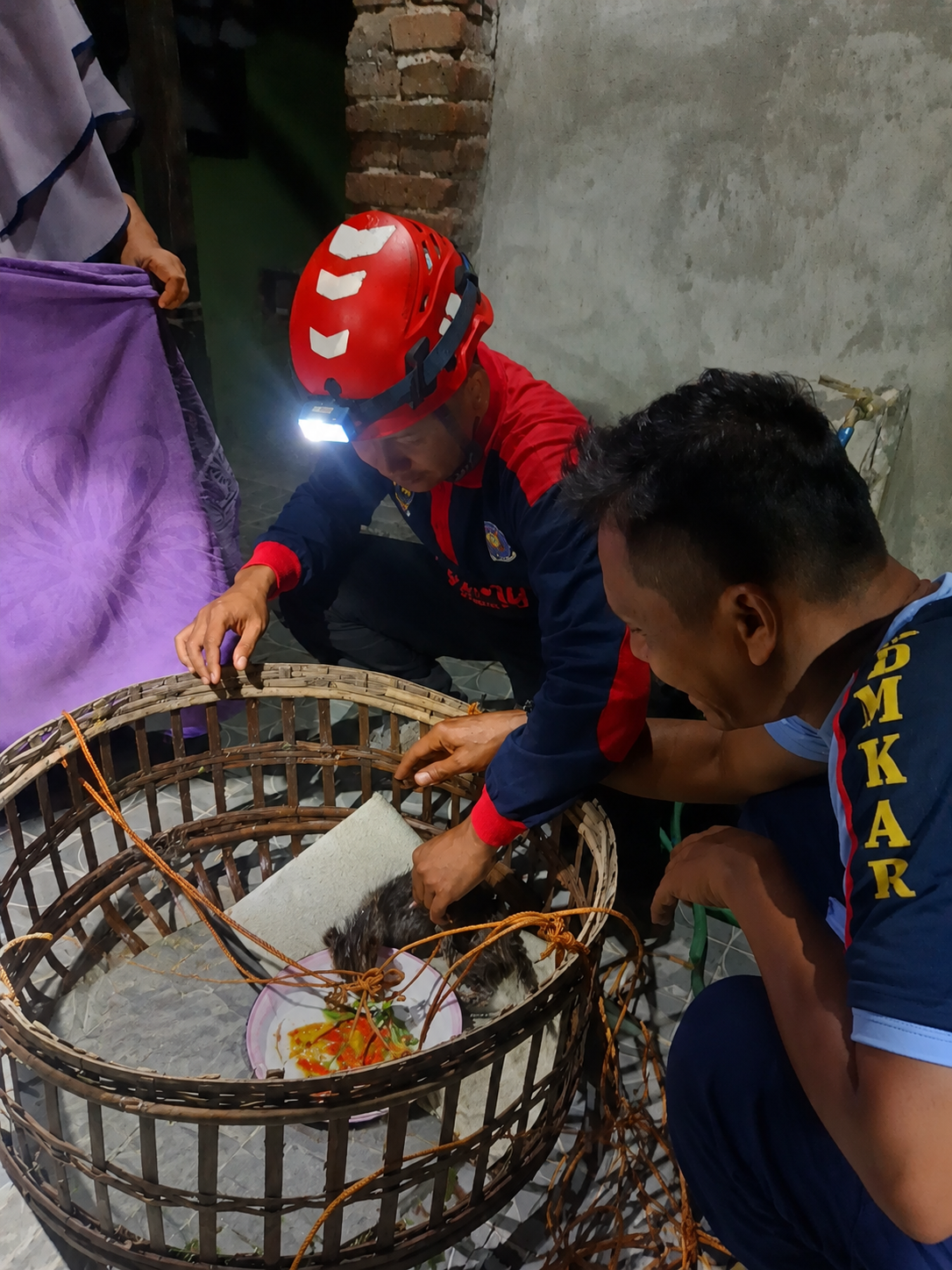 KUCING TERJEBAK DI SUMUR AKTIF BERHASIL DIEVAKUASI DAMKAR PURWOREJO